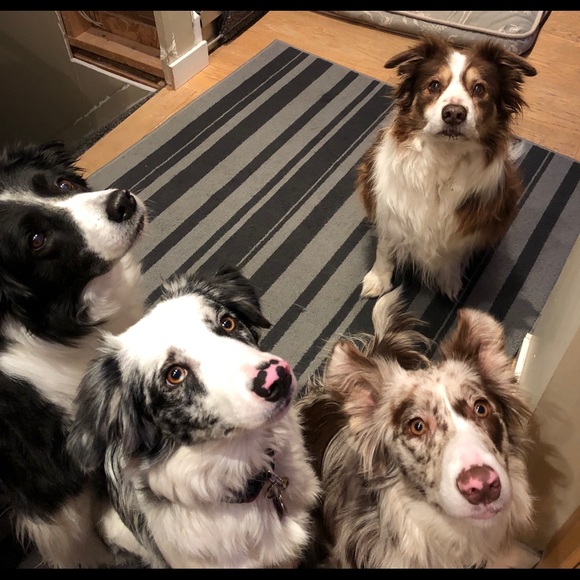 Meet your Posher, Maple - Picture 2 of 4